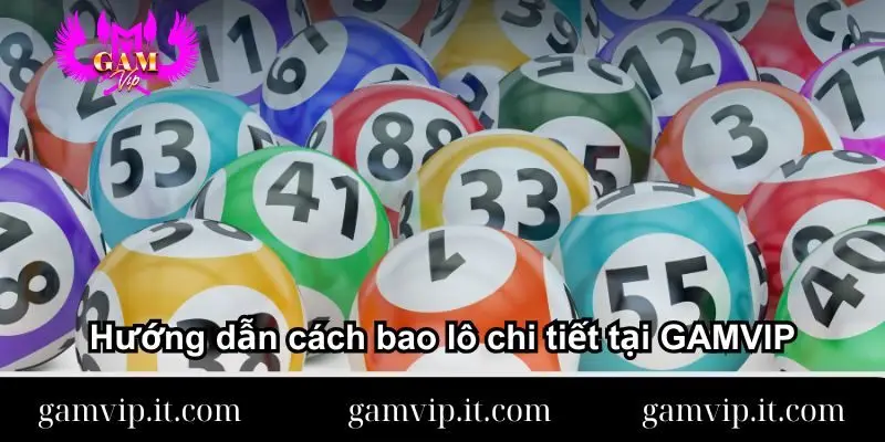 mot-so-thong-tin-ve-cach-bao-lo