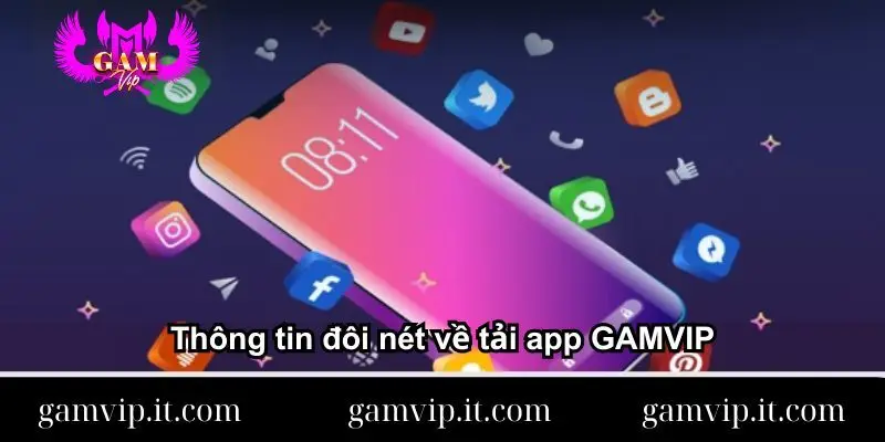 thong-tin-doi-net-ve-tai-app-gamvip